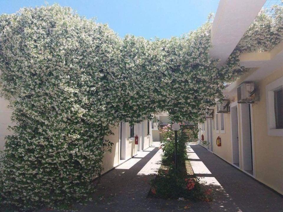 Monika Hotel Sidari Sidárion Eksteriør billede